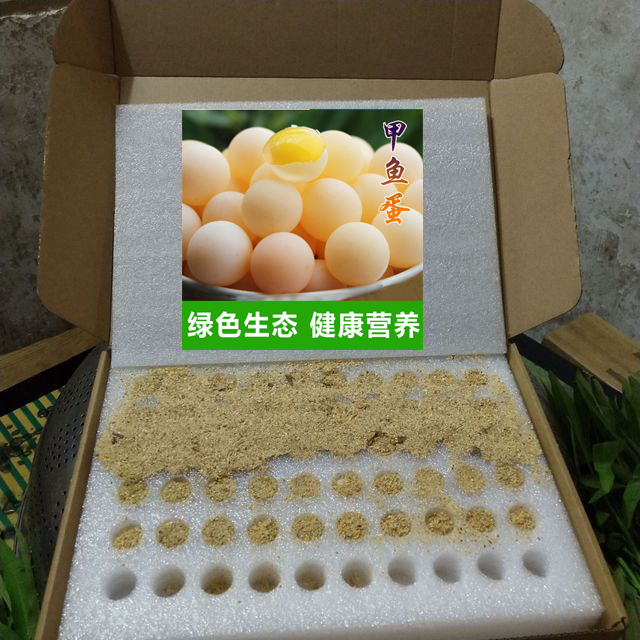 44甲魚(yú)蛋托