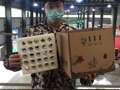 如何包裝20枚雞蛋？20枚雞蛋托包裝用珍珠棉蛋托緩沖包裝